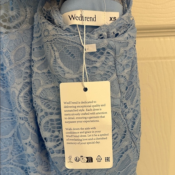 Elegant Blue Lace & Chiffon Dress - Picture 2 of 6